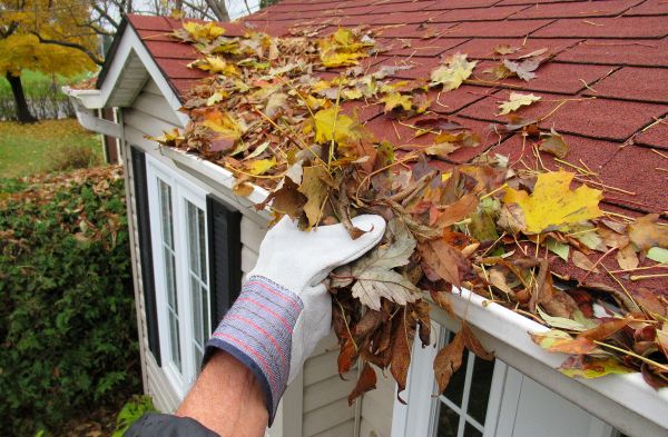 Professional Rain Gutter Cleaning Service