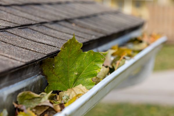 Professional Gutter System Cleaning
