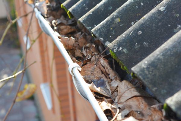 Professional Home Gutter Cleaning