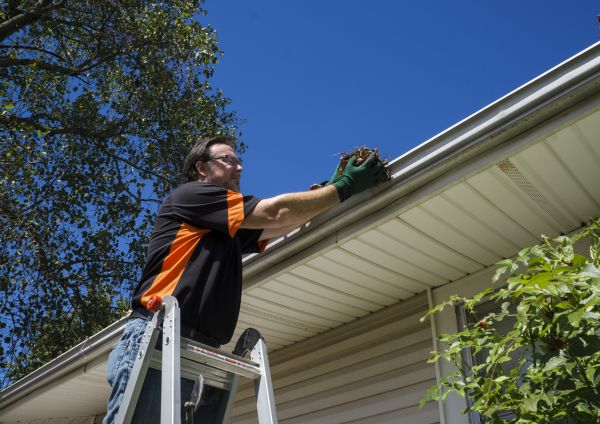 Building Gutter Cleaning Service
