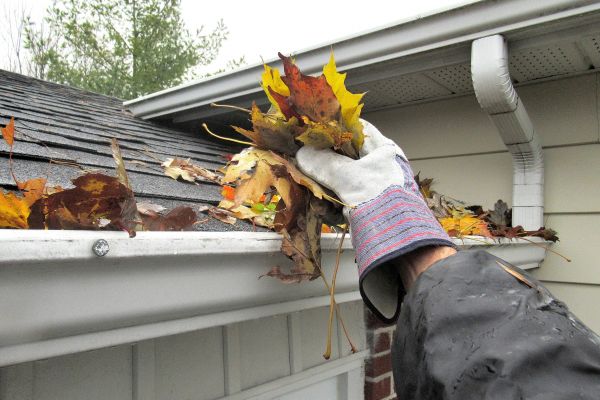 House Gutter Cleaning